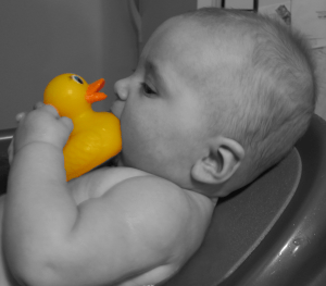 duckie-073
