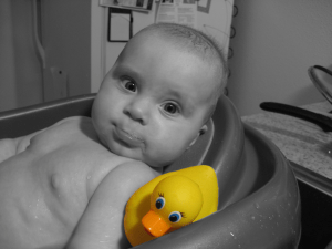 ducky